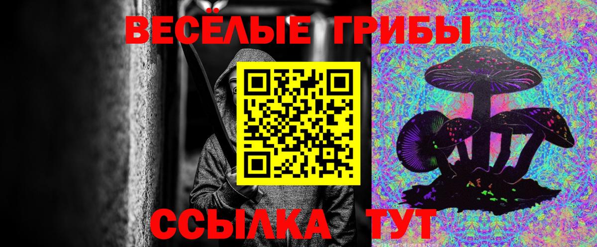 Назарово  наркошоп  Вход с VPN  Галлюциногенные грибы GOLDEN TEACHER  Псилоцибиновые грибы Psilocybe 