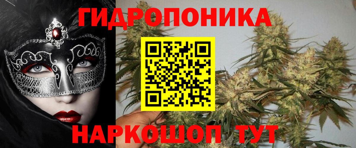 Бошки Шишки сатива Назарово